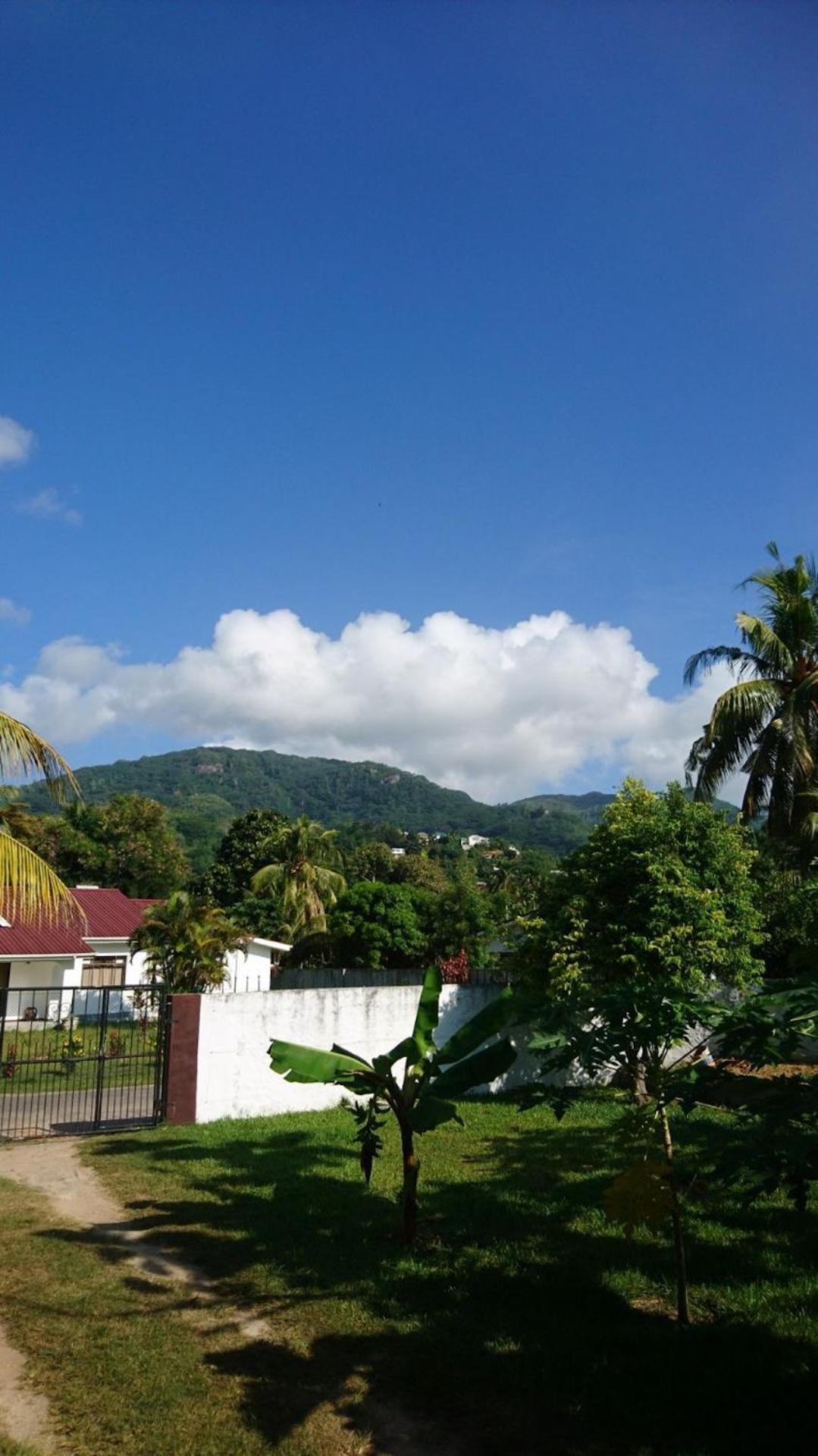 Hcs Bungalows Turtle Bay Rustic Bungalow Au Cap 외부 사진