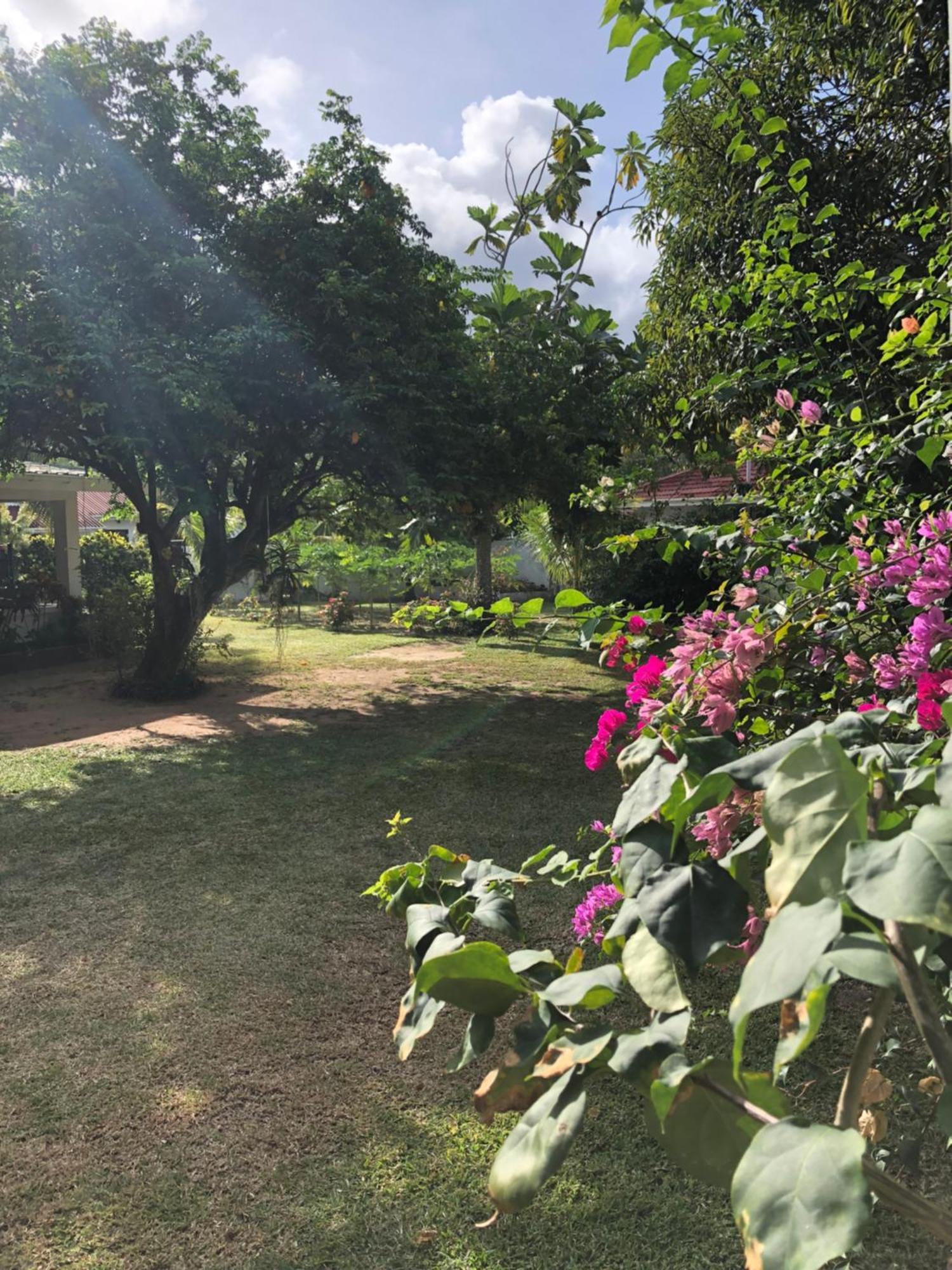 Hcs Bungalows Turtle Bay Rustic Bungalow Au Cap 외부 사진