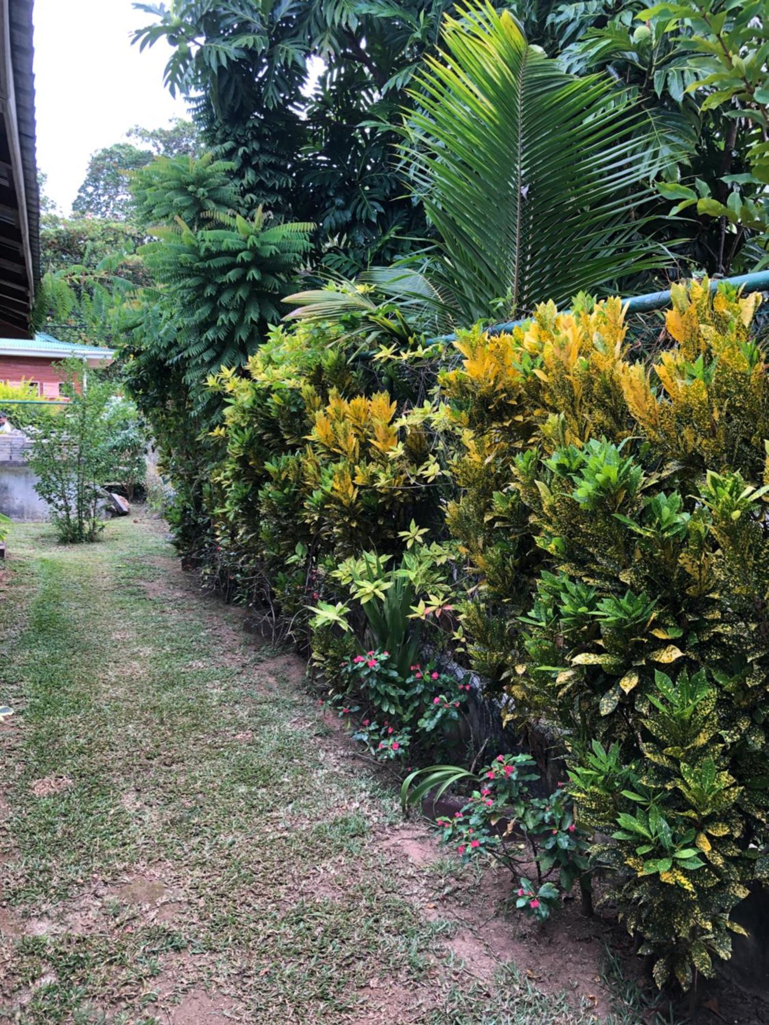 Hcs Bungalows Turtle Bay Rustic Bungalow Au Cap 외부 사진