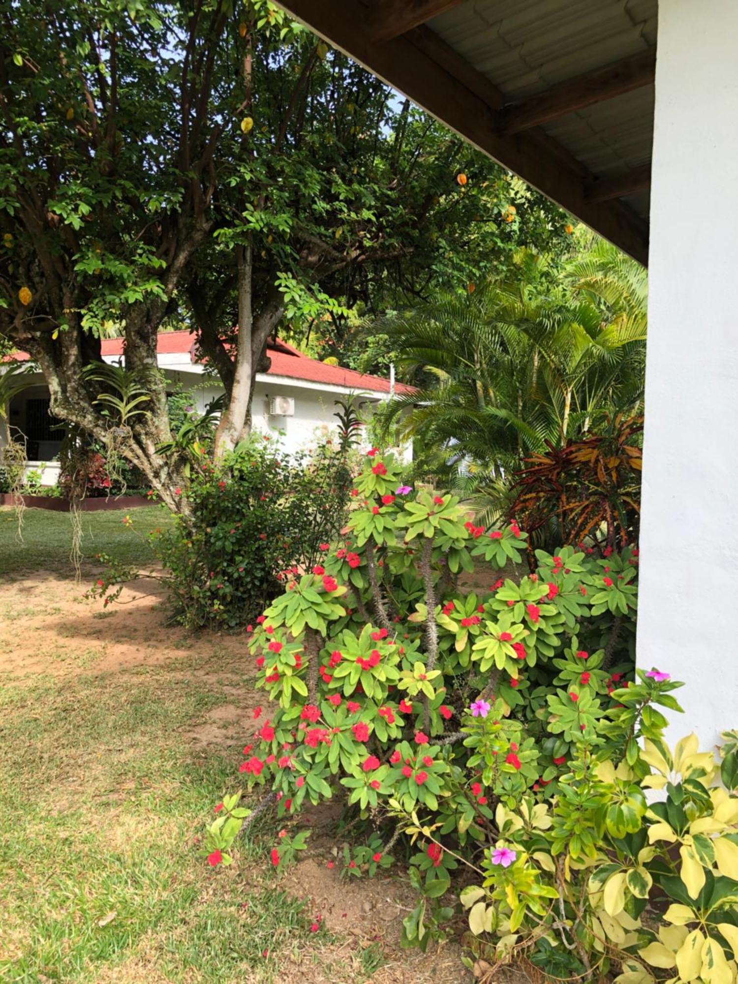 Hcs Bungalows Turtle Bay Rustic Bungalow Au Cap 외부 사진