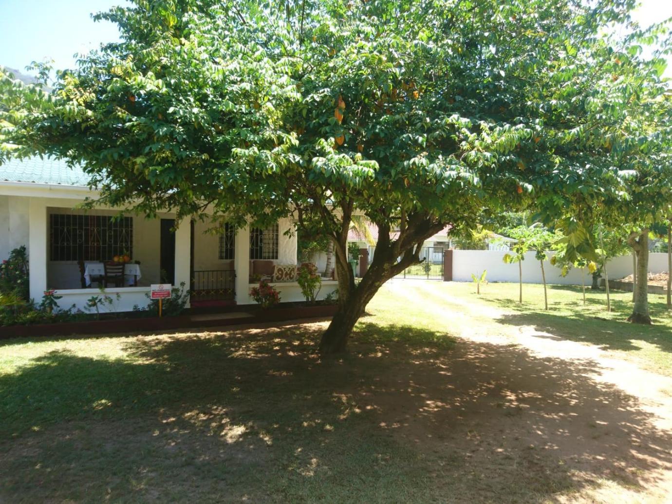 Hcs Bungalows Turtle Bay Rustic Bungalow Au Cap 외부 사진