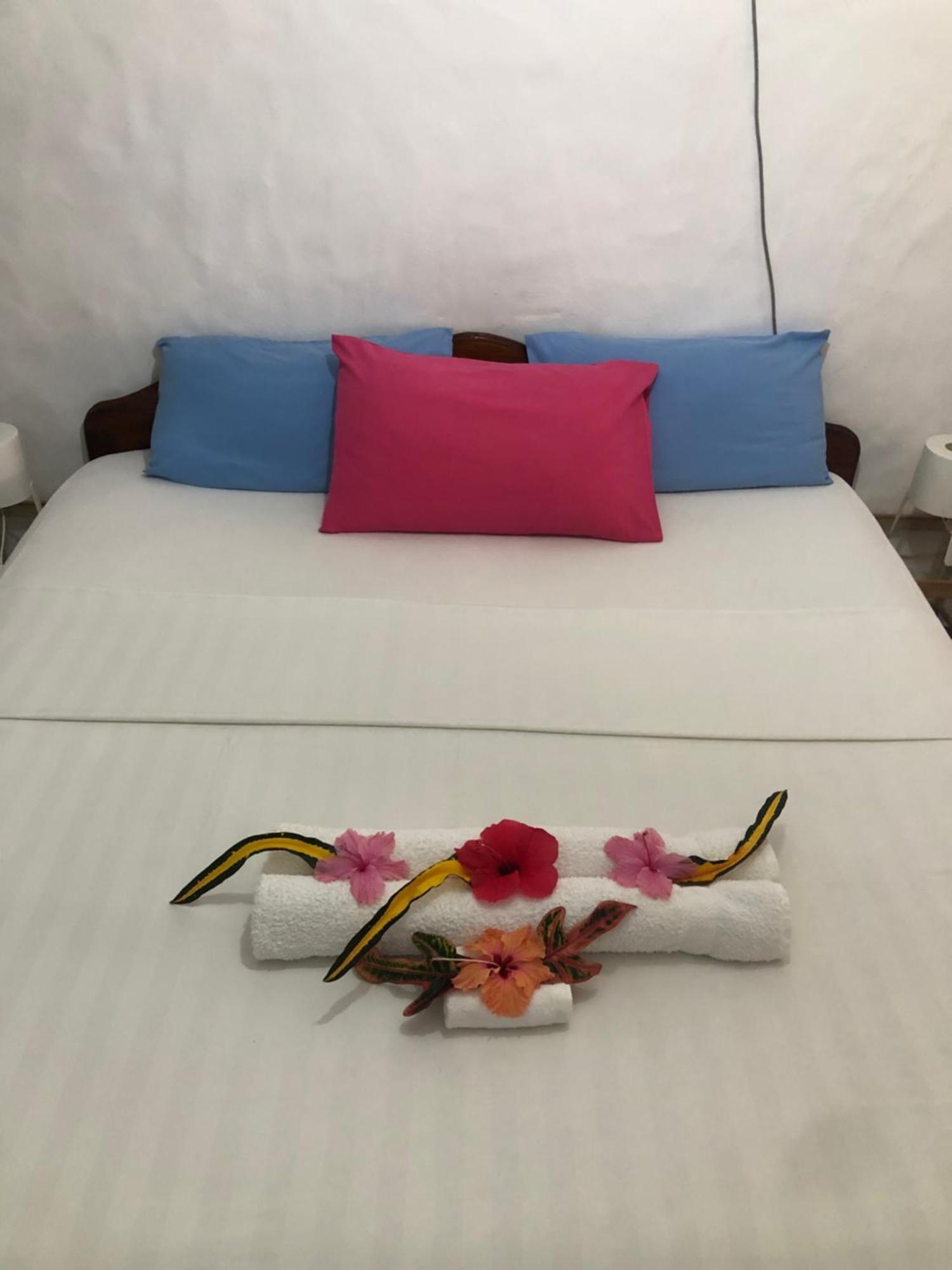 Hcs Bungalows Turtle Bay Rustic Bungalow Au Cap 외부 사진